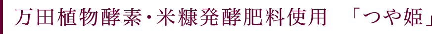 万田植物酵素・米糠発酵肥料使用　「つや姫」