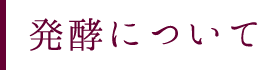 発酵について