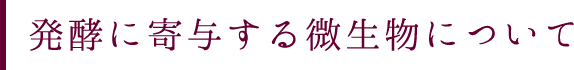 発酵に寄与する微生物について